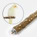 Premium Nature Birds Set: 4 Essential Accessories for Bird Cages - Pencil Bars & Percussion Rods for Budgies & Canaries - Buy Online on GoSupps.com