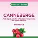 Nature's Bounty Cranberry Gummies Herbal Supplement Helps Prevent Recurrent UTIs 60 Gummies Multi-colored - Buy Online on GoSupps.com
