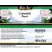 Bianca Rosa Cranesbill Root Cream (2 oz ZIN: 514758) - Buy Online on GoSupps.com