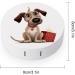 Buy Dog Print Contact Lens Case - Plastic Contact Lens Care & Travel Box for International Shipping - Buy Online on GoSupps.com