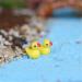 NA 40PCS Miniature yellow ducks micro-landscape scenery aquarium decoration moss bonsai flower pot decorative - Buy Online on GoSupps.com