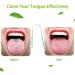 Rjsqaqe High-Quality Steel Tongue Cleaner Brush - Best Tongue Hygiene Tool for Oral Care - Buy Online on GoSupps.com