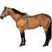 CAMELOT Web 8-Ring Surcingle Brown Full - Top Quality Equestrian Gear - Buy Online on GoSupps.com