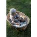 BIBS Natural Rubber Pacifiers | Set of 2 BPA-Free Soothers | Made in Denmark | Ivory | Size 6-18 Months - Buy Online on GoSupps.com