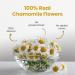Chamomile Tea - 30g - Makes Over 30 Cups || Sleep & Relaxation || Herbal Tea - Caffeine-Free - Flower-Based - Vegan - Non-GMO - 100% Natural | Featured in Shark Tank | Jar - Buy Online on GoSupps.com