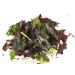 Wild Irish Seaweeds Organic Sea Salad Mix 50g | Premium Quality Sprinkle Jar - Buy Online on GoSupps.com