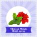 BLUE TEA - Hibiscus Mint Herbal Tea - 36 Tea Bags (Pack of 2) | CAFFEINE FREE | Hibiscus + Mint | Farm Packed Hibiscus Tea | Tin Packing - Buy Online on GoSupps.com