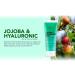 Hearth Jojoba & Hyaluronic Acid Face Wash - Hydrating & Nourishing | Sulphate & Paraben Free | 100ml | For Men & Women - Buy Online on GoSupps.com
