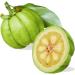 Garcinia Cambogia Capsules - Natural Whole Fruit Weight Loss Supplement - Buy Online on GoSupps.com