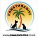 PAWS PARADISE 50 x QUALITY HEAVY BRITISH GRADE A PIGS EARS - Buy Online on GoSupps.com