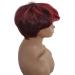 Kashyk Women's Short Curly Red Wig | Heat-Resistant Everyday Ponytail Wig - Buy Online on GoSupps.com