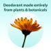 Rose Geranium & Jasmine Vegan Deodorant - Aluminum-Free All Good Deodorant - Buy Online on GoSupps.com