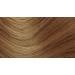 Herbatint 8D Light Golden Blonde 150ml - Natural Hair Color - Buy Online on GoSupps.com