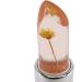 Beauty Flower Crystal Jelly Lipstick Temperature Change Color Lip Balm Lemon yellow - Buy Online on GoSupps.com