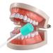 50 Pack Disposable Oral Swabs - Sterile Dental Sponge Swabsticks for Mouth & Gum Cleaning - Unflavored - Sky Blue - Buy Online on GoSupps.com