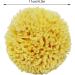 FIOERDTUIE Multi-functional Natural Sea Sponge Wide Application Easy To Clean Super Soft Natural Sea Sponges For Bathing - Buy Online on GoSupps.com