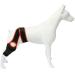 QYJLOFMVE Dog Knee Brace, Support for Large and Small Dogs Suffering from ACL, CCL, Cruciate Ligament Injuries, Luxating Patella or Osteoarthritis for Rear Legs and