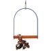 Sanded Nail Trimming Arch Swing Parrot Perch - Large Sanded Nail Trimming Arch - L - Buy Online on GoSupps.com