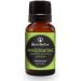 Best of Nature Essential Oil Blend 100% Pure for Diffuser Aromatherapy & Relaxation (Invigorating) - Buy Online on GoSupps.com