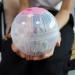 VTurboWay 2 Pcs Hamster Running Ball Plastic Exercise Ball Hamster Useful Transparent Mini Training Ball (Dia: 4.7 inch) - Buy Online on GoSupps.com