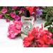 Diptyque Geranium Odorata 100 ml Lumbar Cushion color-1641 Lumbar Cushion-1641 - Buy Online on GoSupps.com