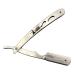 CS-102 Stainless Steel Professional Barber Straight Edge Razor | Includes 15 Astra Double Edge Blades - Best for Barbers & Shaving Enthusiasts - Buy Online on GoSupps.com