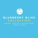 Curls Blueberry Bliss Curl Control Paste 4oz - Pack of 2 | Define & Style Your Curls - Buy Online on GoSupps.com