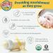 Earth's Best Organic Dairy Infant Powder Formula 32oz - with Iron, Omega-3 DHA & Omega-6 ARA - Buy Online on GoSupps.com