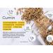 nalAmudhu Jeeragam | Jeera | | Cuminum cyminum |Cumin Seeds-200g  - Buy Online on GoSupps.com