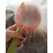 Cat Brush for Long & Short Hair 1-Click Self-Cleaning Tool for Effortless Pet Hair Removal - Buy Online on GoSupps.com