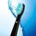 GSParts 4pcs Soft Bristle Brush Heads for Fairywill Electric Toothbrush - Crystal Black - Buy Online on GoSupps.com