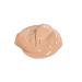 Belle Beauty by Kim Gravel Hover Cover Hi-Definition Concealer in Tan - Buy Online on GoSupps.com