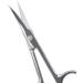 Craft Scissors Cuticle Dead Skin Remover Cuticle Scissors Professional Nail Scissors Scissors - Buy Online on GoSupps.com