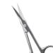 Craft Scissors Cuticle Dead Skin Remover Cuticle Scissors Professional Nail Scissors Scissors - Buy Online on GoSupps.com