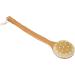 Deep Cleaning Long Handle Shower Brush for Exfoliating Skin - Body Scrubber for Wet or Dry Brushing - Bath Shower Body Care - Buy Online on GoSupps.com