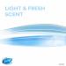 Buy Secret Antiperspirant & Deodorant for Women - Clinical Strength Soft Solid Light & Fresh 2.6 Oz - Pack of 2 | International Shipping Available - Buy Online on GoSupps.com
