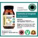 Gymnema & Fenugreek Capsules - Natural Blood Sugar Support - Buy Online on GoSupps.com