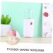 CANIGHT 2pcs Skin Moistener Face Humidifier Mini Portable Humidifier Hand Humidifier Air Diffuser Mist Spray - Buy Online on GoSupps.com