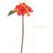 Artibetter 5pcs Christmas Ornaments Christmas Berry Twigs Xmas Floral Arrangements Christmas Tree Berries Red Berry Arrangement Wreath Artificial Berry Xmas Berries Bouquet Soft Pvc Spray Orange 27.00X11.00X11.00CM - Buy Online on GoSupps.com
