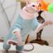 Rayminsino Hairless Cat Clothing - XS Blue for Sphynx Kittens | Highly Elastic & Comfortable Home Wear - Buy Online on GoSupps.com