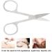 Stainless Steel Small Eyebrow Scissors for Grooming Beauty Tool - Eyebrows, Beard, Eyelashes Trimming - Buy Online on GoSupps.com