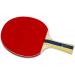 Butterfly B603FL Ping Pong Paddle Set with Case | Tournament Grade Table Tennis Racket for High Speed & Spin - Buy Online on GoSupps.com