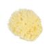 Angoily Natural Sea Sponges Soft Bath Sponges Body Puff Scrubber Used in Bath Shower Cleansing Exfoliating