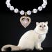 Rayminsino Pet Necklace - Rose Gold Heart & Cat Pearls Jewelry for Small Dogs & Cats | Shiny Gemstone Wedding Collars - Buy Online on GoSupps.com