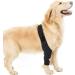 Pet Dog Injury Knee Brace Leg Inflammation Pain Alleviate Leg Support Sheaths for Dogs Outdoor Walking Accessories - Buy Online on GoSupps.com