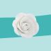 Buy Cake Company Fine Sugar Roses - 6 White Pieces (1 x 74g) - Perfect for Decorating Cakes | International Shipping Available - Buy Online on GoSupps.com