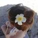 Calcifer 30pcs 1.97'' Hawaiian Plumeria Flower Clips for Bridal Wedding Party Beach Hair - Shop Now! - Buy Online on GoSupps.com