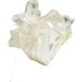 1pc 20g-30g Natural White Crystal Cluster Skeletal Quartz Point Wand Crystal Specimen Natural Stone Raw Stones and Minerals Full of Texture 20-30g - Buy Online on GoSupps.com