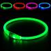BSEEN LED Dog Collar, USB Rechargeable, Glowing Pet Dog Collar for Night Safety, Fashion Light up Collar for Small Medium Large dogs Green