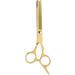 Stainless Steel Hair Cutting Scissors Professional Home Hair Salon Barber Thinning Shears for Kid Adult - Buy Online on GoSupps.com